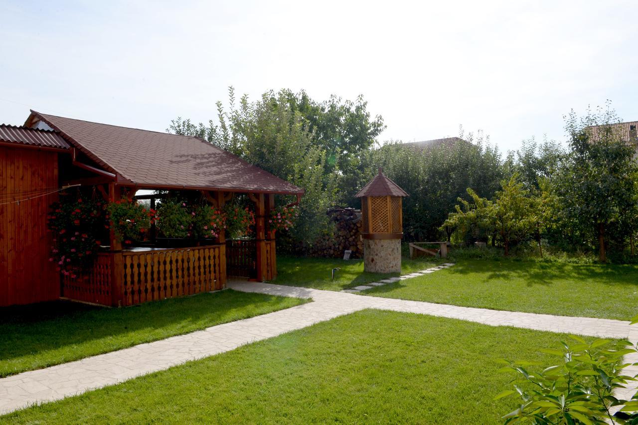 Casa Flora Hotel Sînmartin Kültér fotó